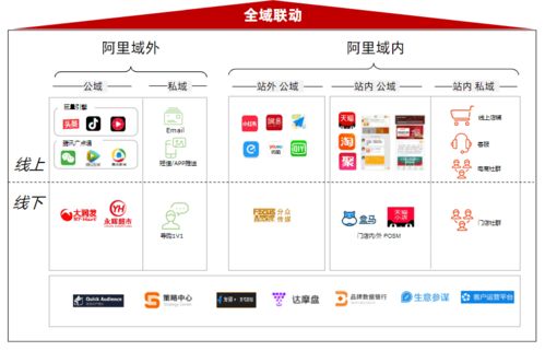 創(chuàng)新驅(qū)動長青 高效推新與品牌管理的雙螺旋